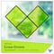 Plaid® Gallery Glass® Stained Glass Effect Paint, 2oz.